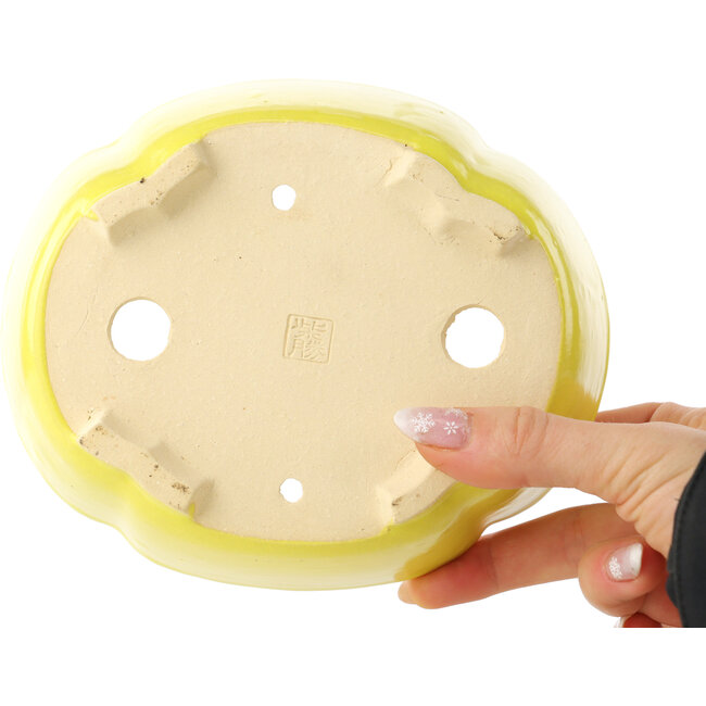 Pot à bonsaï Mokko jaune de Shibakatsu - 160 x 135 x 56 mm