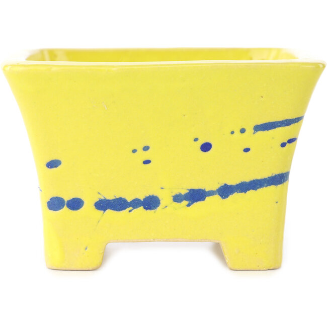 Maceta cuadrada amarilla y azul para bonsái de Shibakatsu - 115 x 115 x 74 mm