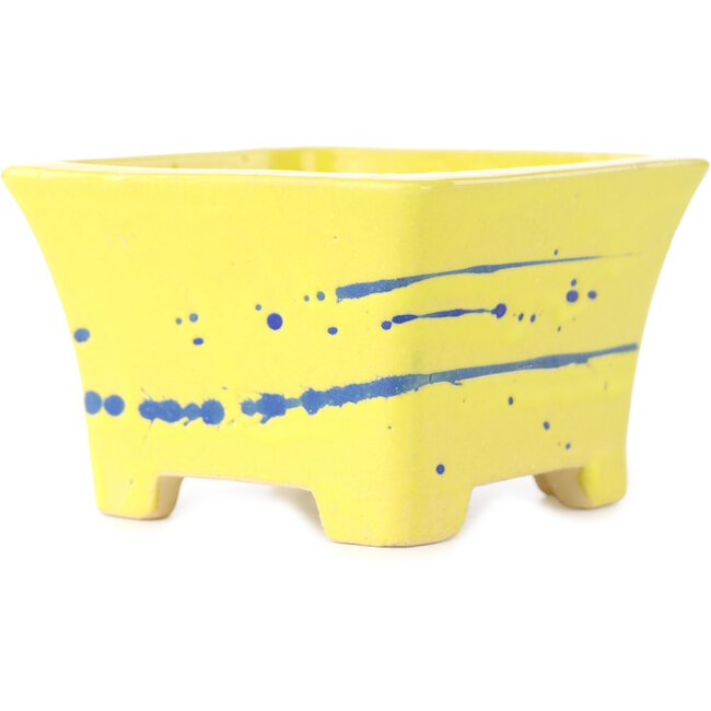 Square yellow and blue bonsai pot by Shibakatsu - 115 x 115 x 74 mm