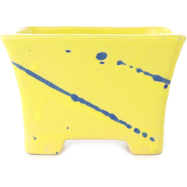 Pot à bonsaï carré jaune et bleu de Shibakatsu - 115 x 115 x 74 mm