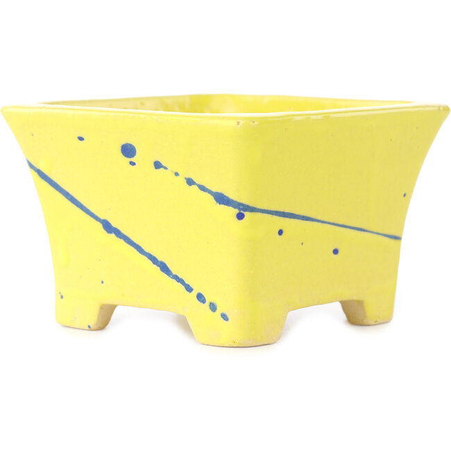 Pot à bonsaï carré jaune et bleu de Shibakatsu - 115 x 115 x 74 mm
