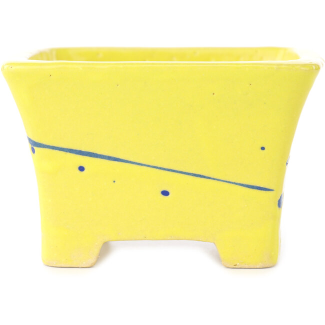 Square yellow and blue bonsai pot by Shibakatsu - 115 x 115 x 74 mm