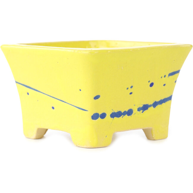 Square yellow and blue bonsai pot by Shibakatsu - 115 x 115 x 74 mm