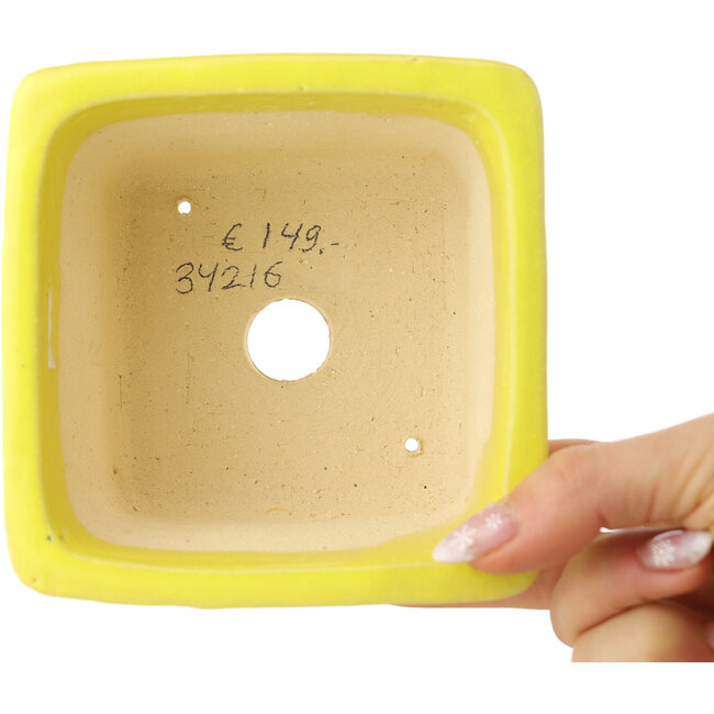 Square yellow and blue bonsai pot by Shibakatsu - 115 x 115 x 74 mm
