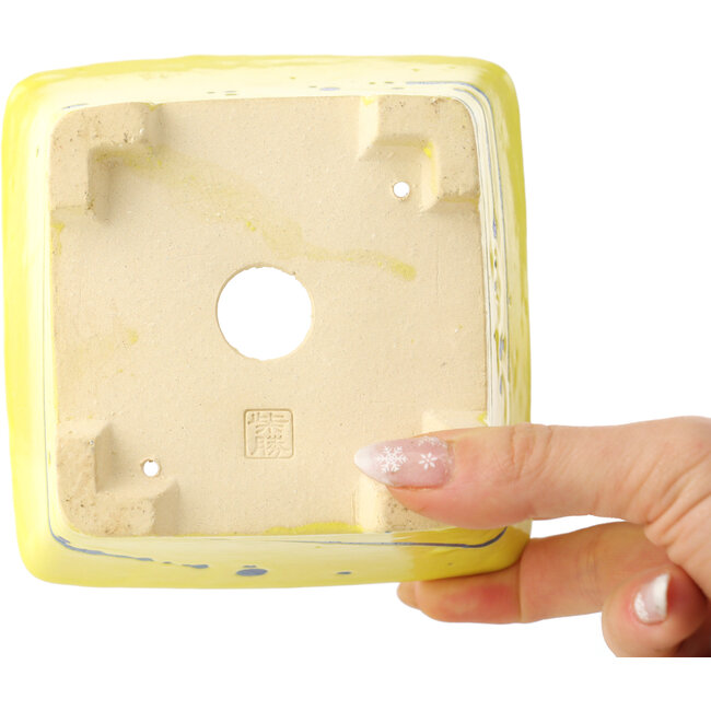 Square yellow and blue bonsai pot by Shibakatsu - 115 x 115 x 74 mm