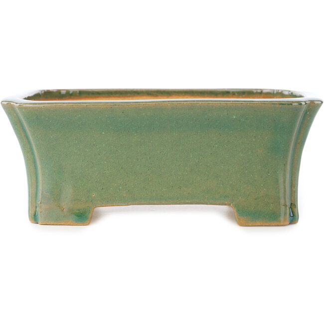 Maceta rectangular para bonsái craquelé verde de Shibakatsu - 185 x 150 x 70 mm