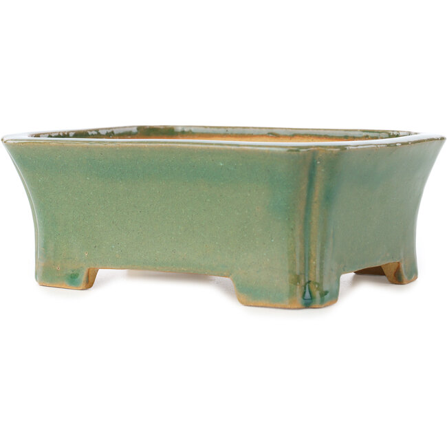 Rechthoekige groene craquelé bonsaipot van Shibakatsu - 185 x 150 x 70 mm