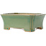 Maceta rectangular para bonsái craquelé verde de Shibakatsu - 185 x 150 x 70 mm