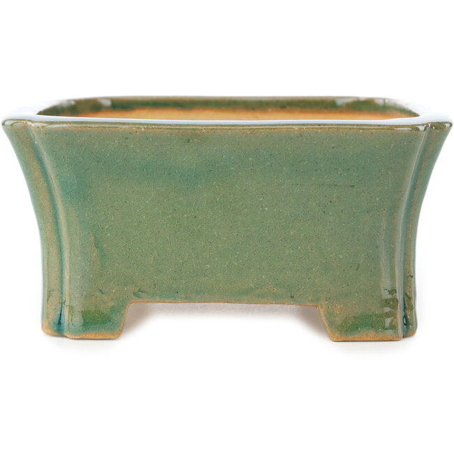 Rechthoekige groene craquelé bonsaipot van Shibakatsu - 185 x 150 x 70 mm