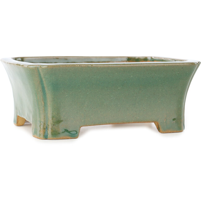 Maceta rectangular para bonsái craquelé verde de Shibakatsu - 185 x 150 x 70 mm