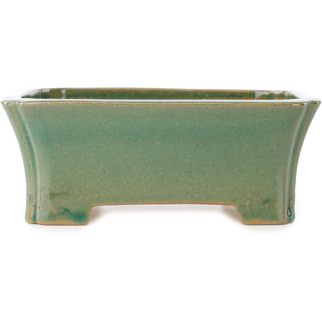 Maceta rectangular para bonsái craquelé verde de Shibakatsu - 185 x 150 x 70 mm