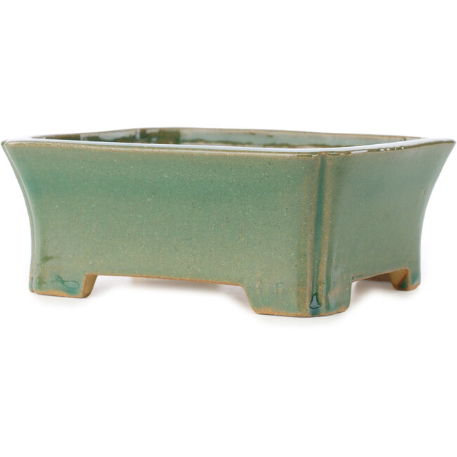 Rechthoekige groene craquelé bonsaipot van Shibakatsu - 185 x 150 x 70 mm