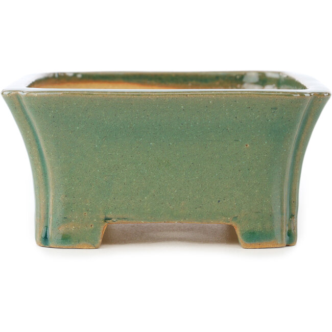 Rectangular green craquelé bonsai pot by Shibakatsu - 185 x 150 x 70 mm