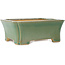 Maceta rectangular para bonsái craquelé verde de Shibakatsu - 185 x 150 x 70 mm