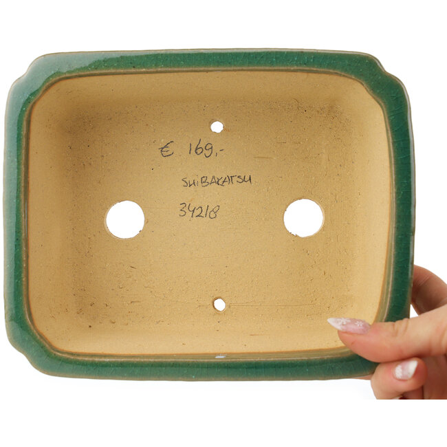 Rechthoekige groene craquelé bonsaipot van Shibakatsu - 185 x 150 x 70 mm