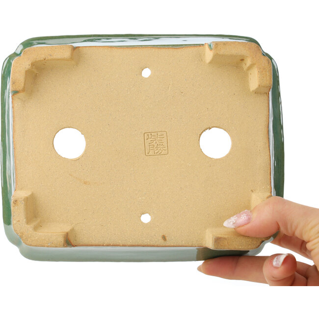 Maceta rectangular para bonsái craquelé verde de Shibakatsu - 185 x 150 x 70 mm