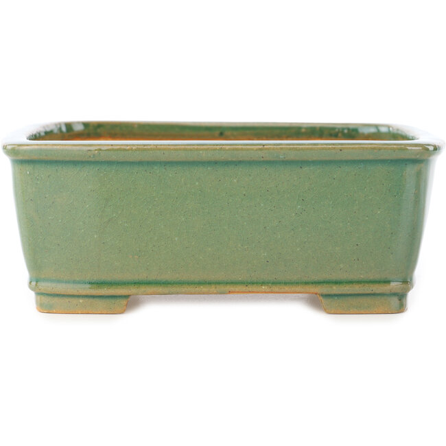 Pot à bonsaï rectangulaire vert craquelé par Shibakatsu - 163 x 130 x 60 mm