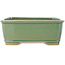 Maceta rectangular para bonsái craquelé verde de Shibakatsu - 163 x 130 x 60 mm