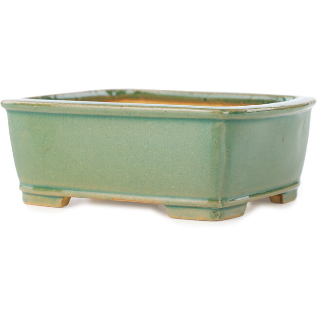 Rechteckige grüne Craquelé-Bonsaischale von Shibakatsu – 163 x 130 x 60 mm