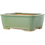 Maceta rectangular para bonsái craquelé verde de Shibakatsu - 163 x 130 x 60 mm