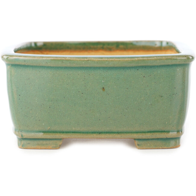Rechthoekige groene craquelé bonsaipot van Shibakatsu - 163 x 130 x 60 mm
