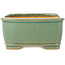 Maceta rectangular para bonsái craquelé verde de Shibakatsu - 163 x 130 x 60 mm