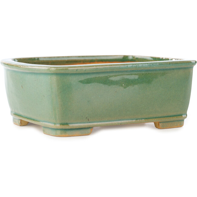 Rechteckige grüne Craquelé-Bonsaischale von Shibakatsu – 163 x 130 x 60 mm