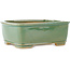 Maceta rectangular para bonsái craquelé verde de Shibakatsu - 163 x 130 x 60 mm