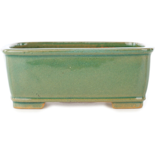 Rechthoekige groene craquelé bonsaipot van Shibakatsu - 163 x 130 x 60 mm