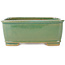 Maceta rectangular para bonsái craquelé verde de Shibakatsu - 163 x 130 x 60 mm