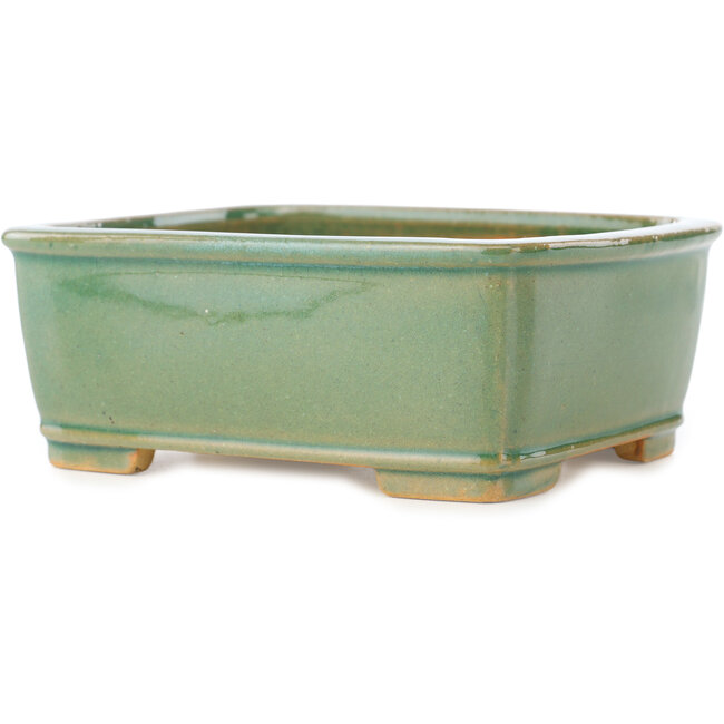 Pot à bonsaï rectangulaire vert craquelé par Shibakatsu - 163 x 130 x 60 mm