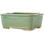 Maceta rectangular para bonsái craquelé verde de Shibakatsu - 163 x 130 x 60 mm
