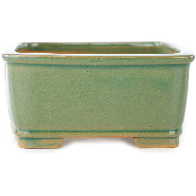 Rectangular green craquelé bonsai pot by Shibakatsu - 163 x 130 x 60 mm