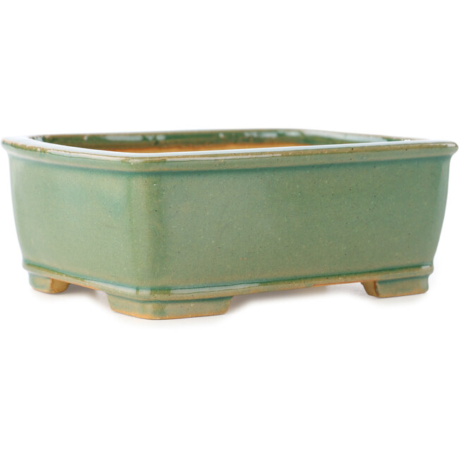 Rechteckige grüne Craquelé-Bonsaischale von Shibakatsu – 163 x 130 x 60 mm