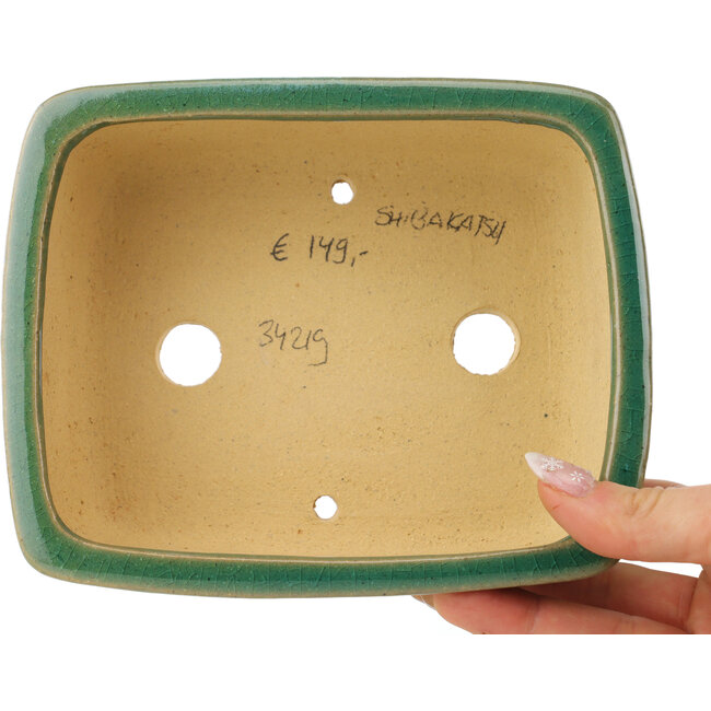 Rechthoekige groene craquelé bonsaipot van Shibakatsu - 163 x 130 x 60 mm