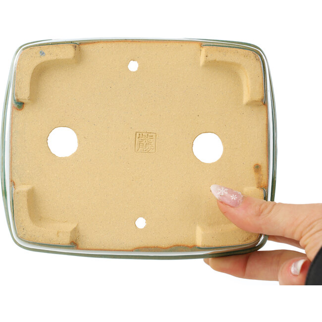Rechteckige grüne Craquelé-Bonsaischale von Shibakatsu – 163 x 130 x 60 mm