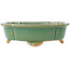 Maceta para bonsái craquelé verde Mokko de Shibakatsu - 183 x 150 x 55 mm