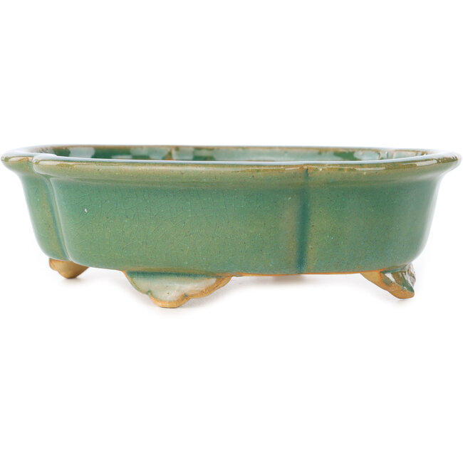 Maceta para bonsái craquelé verde Mokko de Shibakatsu - 183 x 150 x 55 mm