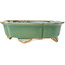 Maceta para bonsái craquelé verde Mokko de Shibakatsu - 183 x 150 x 55 mm