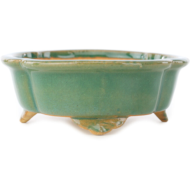 Mokko groene craquelé bonsaipot van Shibakatsu - 183 x 150 x 55 mm