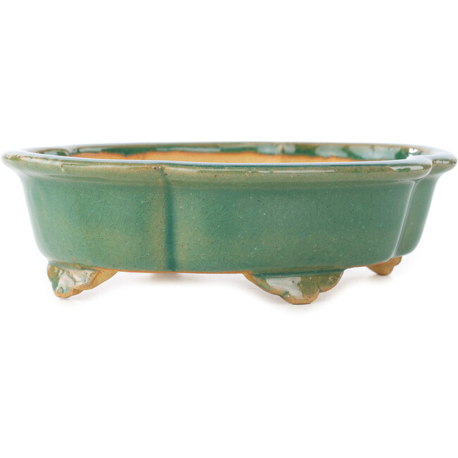 Maceta para bonsái craquelé verde Mokko de Shibakatsu - 183 x 150 x 55 mm