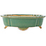 Maceta para bonsái craquelé verde Mokko de Shibakatsu - 183 x 150 x 55 mm