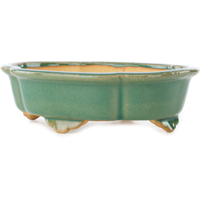 Vaso bonsai Mokko verde craquelé di Shibakatsu - 183 x 150 x 55 mm