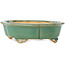 Maceta para bonsái craquelé verde Mokko de Shibakatsu - 183 x 150 x 55 mm