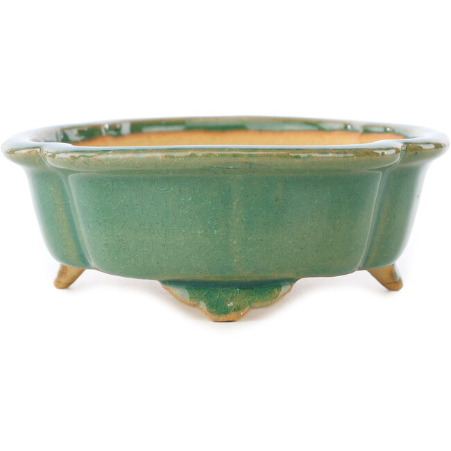 Mokko green craquelé bonsai pot by Shibakatsu - 183 x 150 x 55 mm