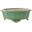 Maceta para bonsái craquelé verde Mokko de Shibakatsu - 183 x 150 x 55 mm