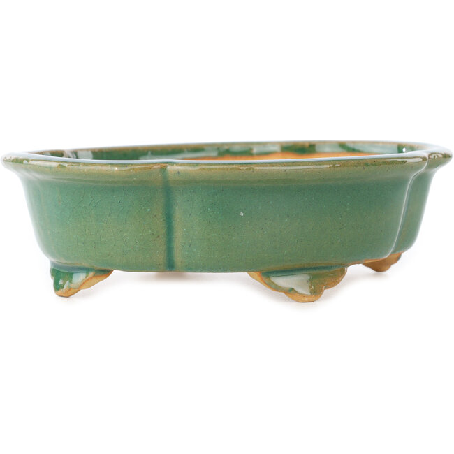 Maceta para bonsái craquelé verde Mokko de Shibakatsu - 183 x 150 x 55 mm