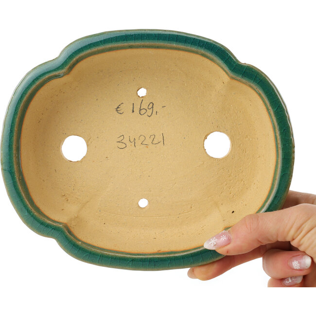 Mokko grüner Craquelé-Bonsaitopf von Shibakatsu – 183 x 150 x 55 mm