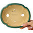 Maceta para bonsái craquelé verde Mokko de Shibakatsu - 183 x 150 x 55 mm