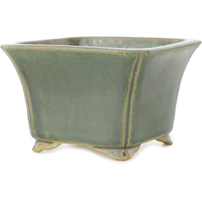 Square dark green bonsai pot by Shibakatsu - 125 x 125 x 80 mm